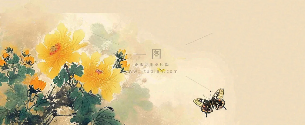 温馨纹理橙色花朵鲜花蝴蝶意境唯美，中国风