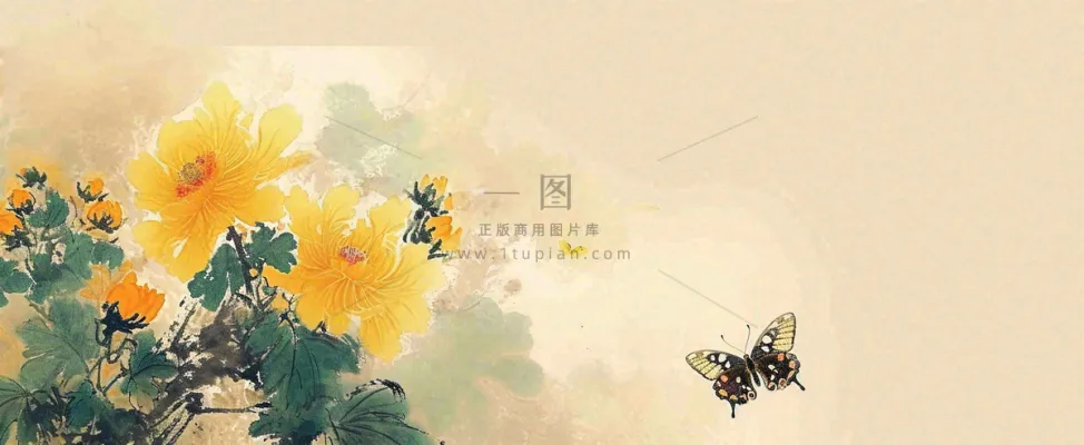 温馨纹理橙色花朵鲜花蝴蝶意境唯美,中国风 温馨纹理橙色花朵鲜花蝴蝶意境唯美,中国风