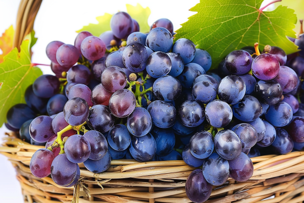 葡萄水果摄影图