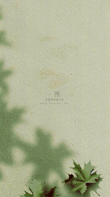 简约绿色叶子影子纹理 简约绿色叶子影子纹理