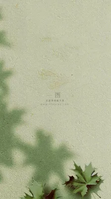 简约绿色叶子影子纹理 简约绿色叶子影子纹理