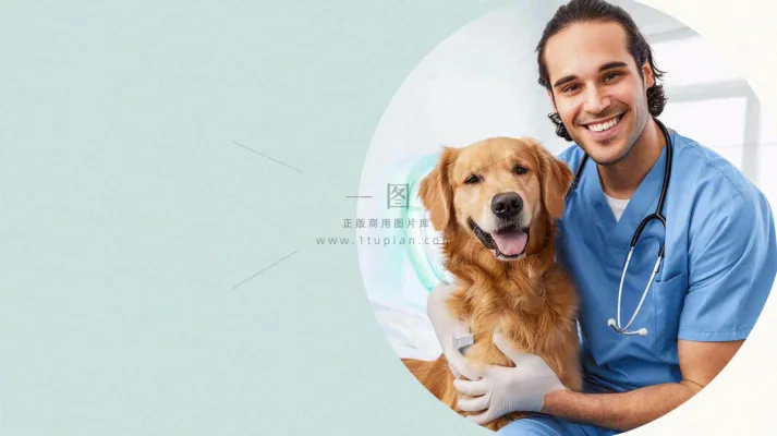 宠物医院猫狗生病救治摄影图 宠物医院猫狗生病救治摄影图