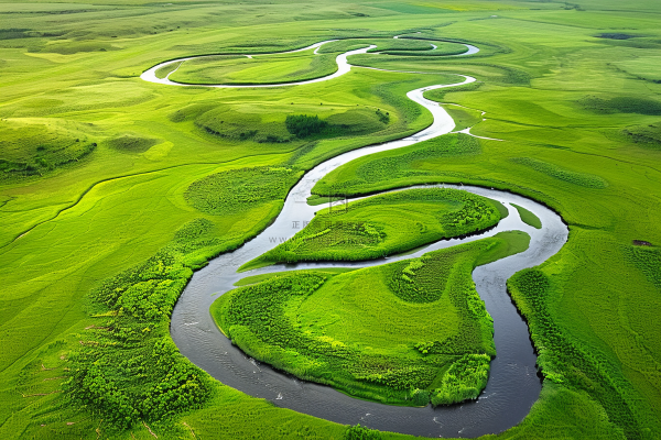 春天湿地草地河流绿意盎然摄影图