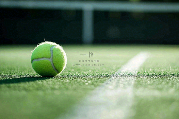 网球馆草地上的网球摄影图