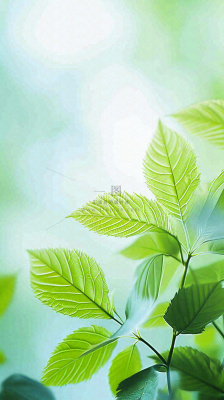 阳光明媚春天春意盎然嫩草，发芽，春分，立春摄影图