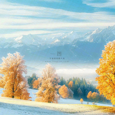 秋天黄色的树叶和草地肃杀的气氛,立秋,秋分 秋天黄色的树叶和草地肃杀的气氛,立秋,秋分