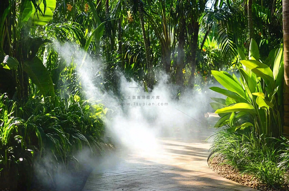 热带植物园绿植摄影图