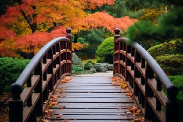 秋天庭院拱桥秋意浓摄影图