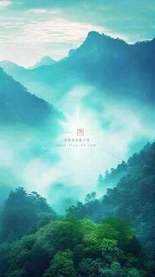 中国风高山绿植森林丛林,阳光蓝天白云,户外 中国风高山绿植森林丛林,阳光蓝天白云,户外