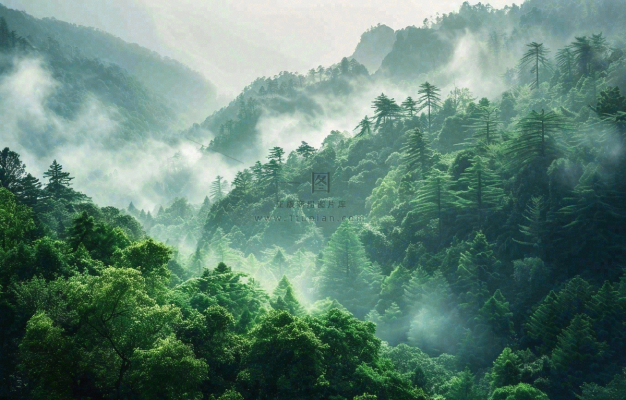 国际山岳日 国际山岳日