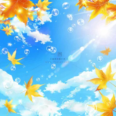 秋天黄色枫叶落叶蓝天白云刺眼阳光立秋秋分处暑背景 秋天黄色枫叶落叶蓝天白云刺眼阳光立秋秋分处暑背景