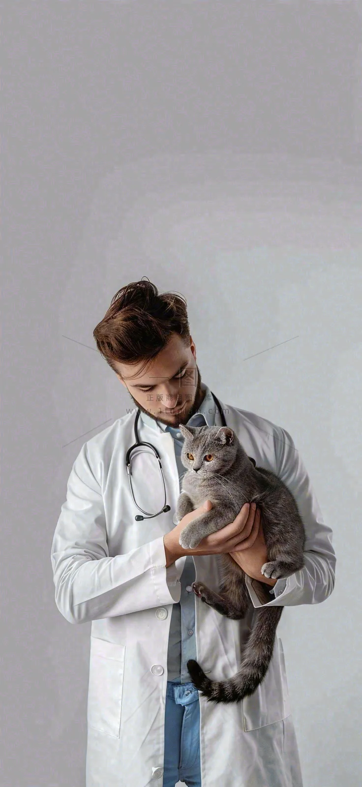 萌宠宠物医院医生抱着猫咪摄影图背景