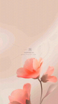 简约花朵鲜花纹理背景 简约花朵鲜花纹理背景