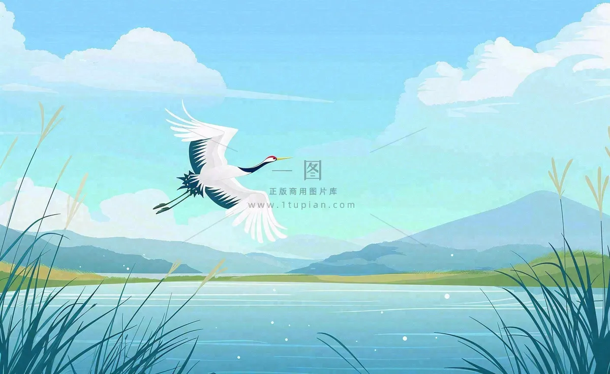白露芦苇山水飞鹤插画蓝色唯美卡通插画背景