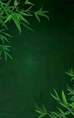 端午佳节竹子插画中国风绿色清雅静背景 端午佳节竹子插画中国风绿色清雅静背景