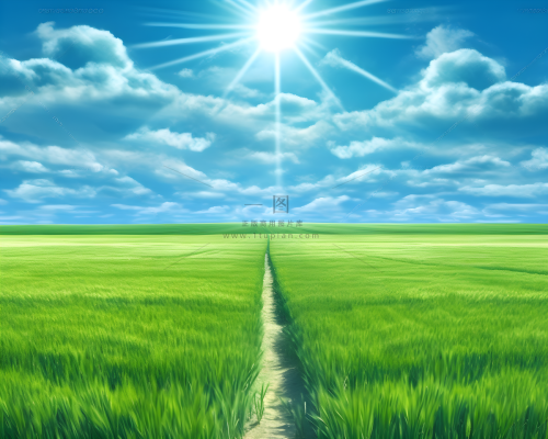 蓝天下的绿色田野一望无际的摄影图