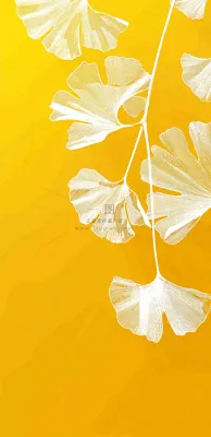秋天秋分立秋 秋天秋分立秋