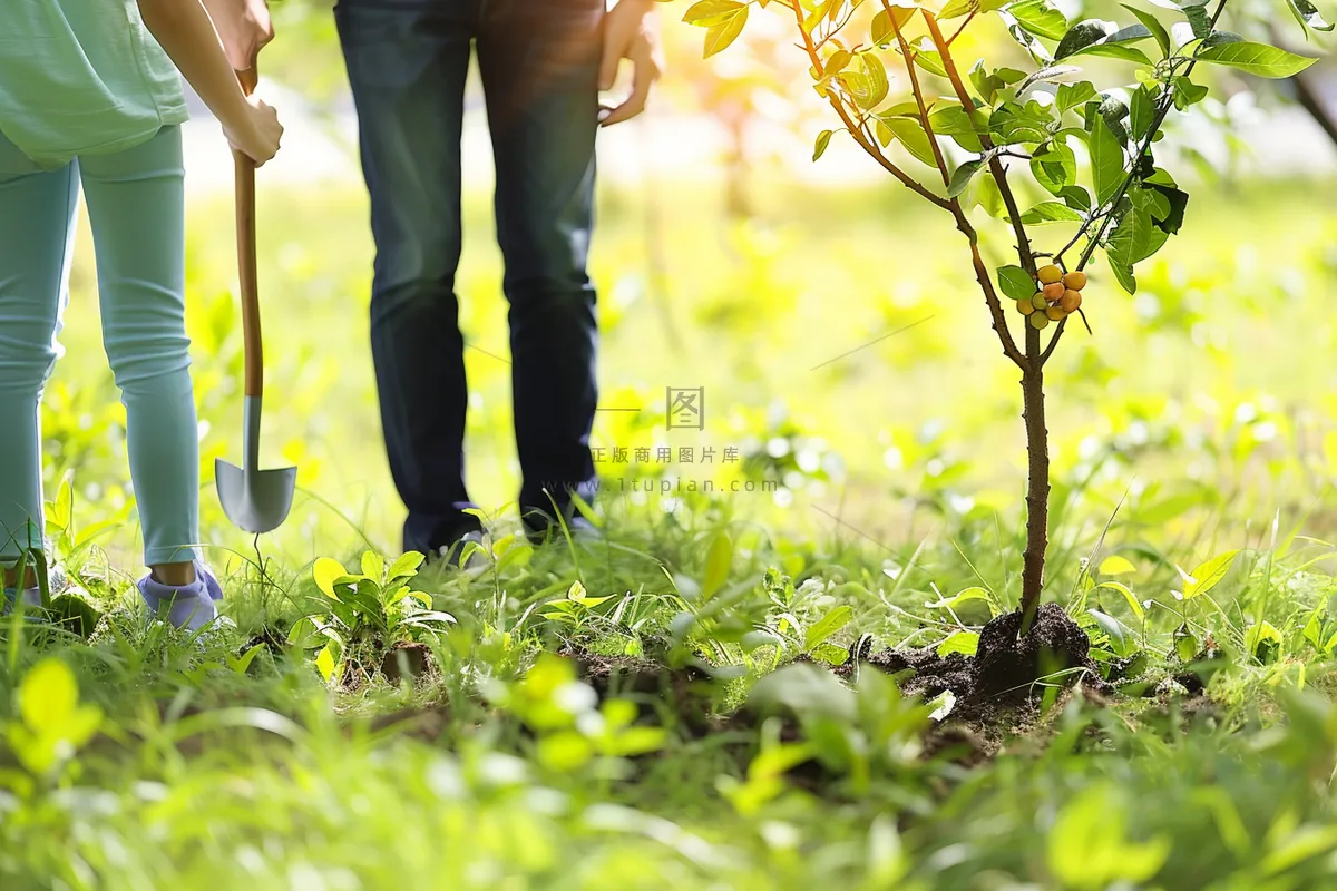 植树树苗保护环境摄影图