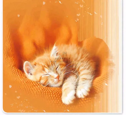 宠物常识宠物攻略猫狗卡通插画背景 宠物常识宠物攻略猫狗卡通插画背景