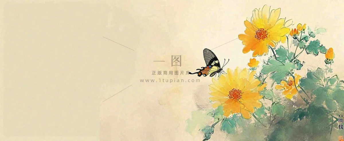 温馨纹理橙色花朵鲜花蝴蝶意境唯美，中国风