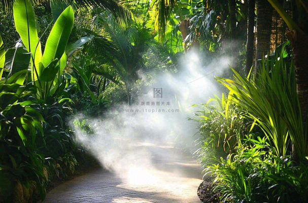 热带植物园绿植摄影图 热带植物园绿植摄影图