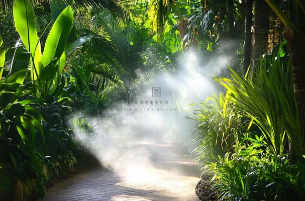 热带植物园绿植摄影图 热带植物园绿植摄影图