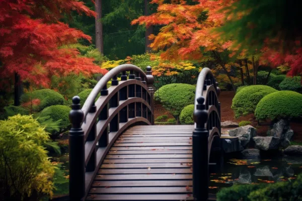 秋天庭院拱桥秋意浓摄影图