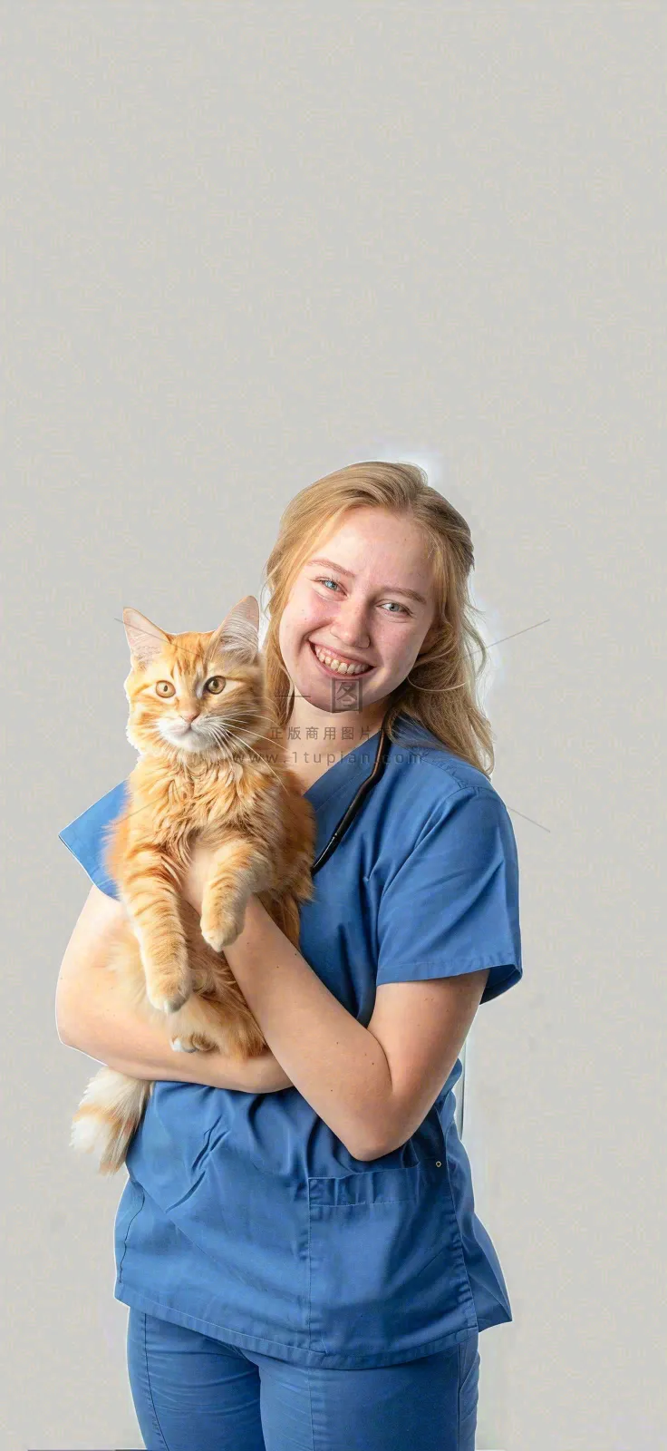 萌宠宠物医院医生抱着猫咪摄影图背景