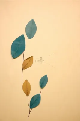 简约清新秋叶落叶节气海报背景