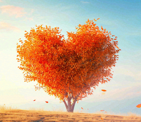 秋天爱心树木橙红色落叶蓝天温馨