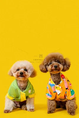 猫狗宠物店宣传卡通插画背景 猫狗宠物店宣传卡通插画背景