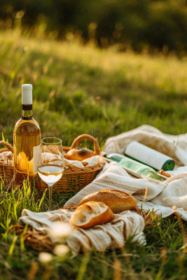 春天户外草坪野餐篮子露营食物酒面包摄影 春天户外草坪野餐篮子露营食物酒面包摄影