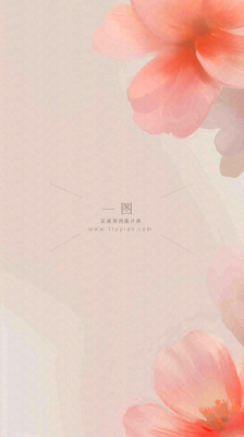 简约花朵鲜花纹理背景 简约花朵鲜花纹理背景