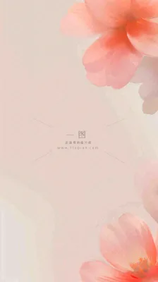 简约花朵鲜花纹理背景 简约花朵鲜花纹理背景