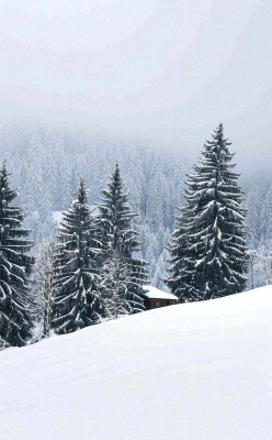 冬天寒冷白雪结冰小寒摄影图 冬天寒冷白雪结冰小寒摄影图