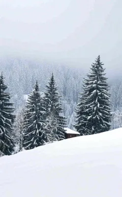 冬天寒冷白雪结冰小寒摄影图 冬天寒冷白雪结冰小寒摄影图