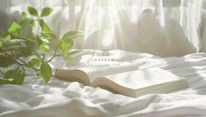 阳光下翻开的书本知识阅读世界读书日摄影图