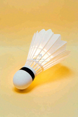 羽毛球竞技运动摄影图 