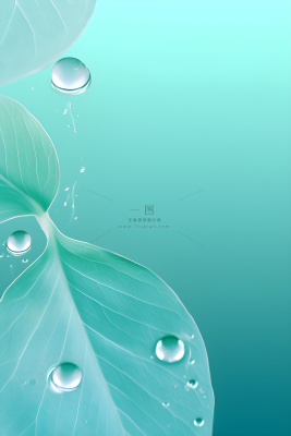 树叶露珠青色大气意境背景 树叶露珠青色大气意境背景