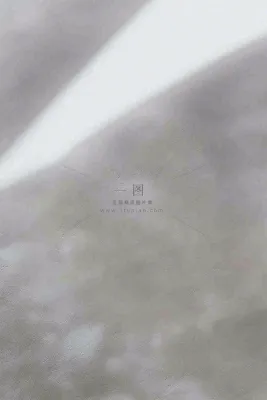 讲师教育讲座线条简约大气人物介绍背景