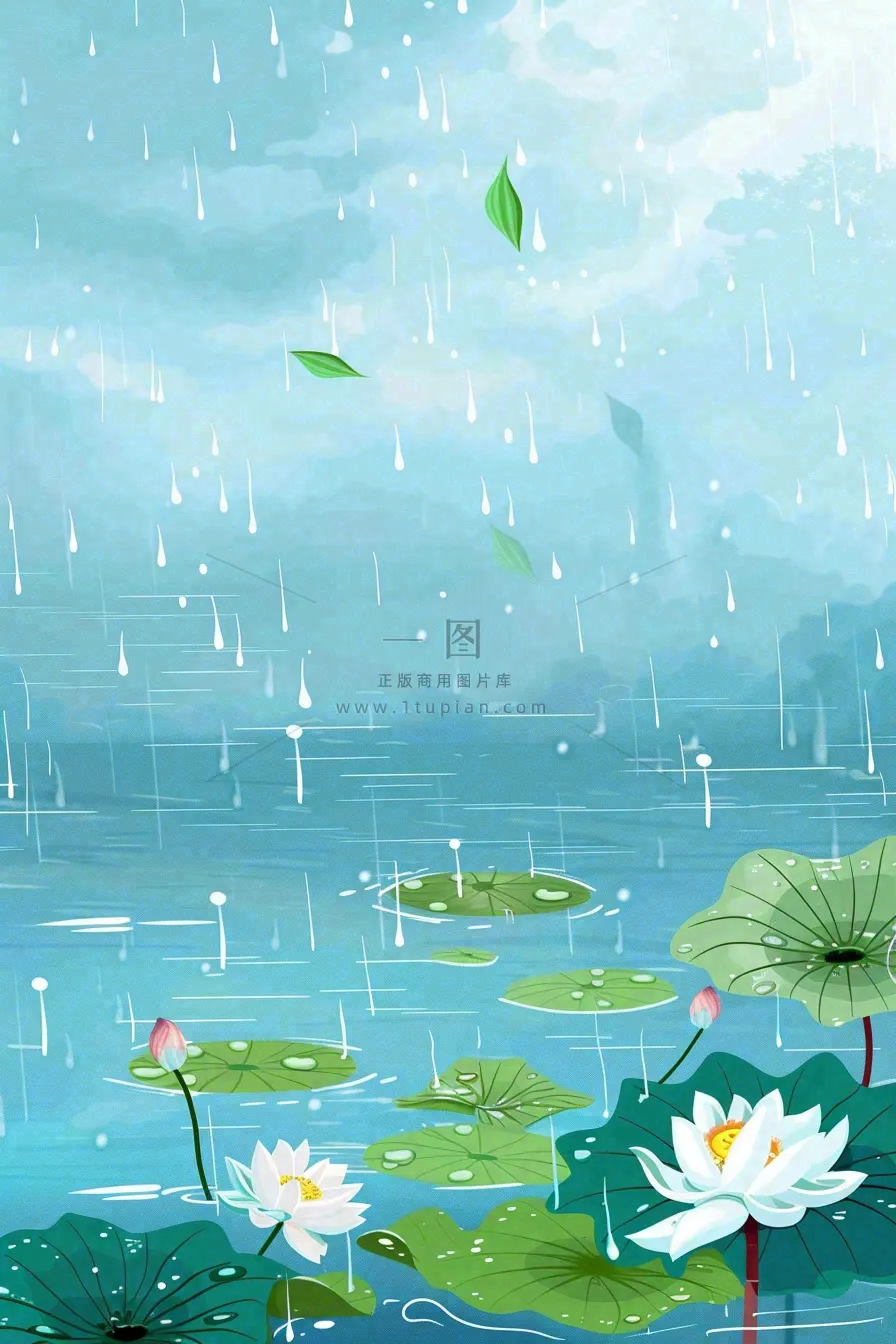 春天下雨天池塘荷花荷叶清凉雨水谷雨处暑插画背景