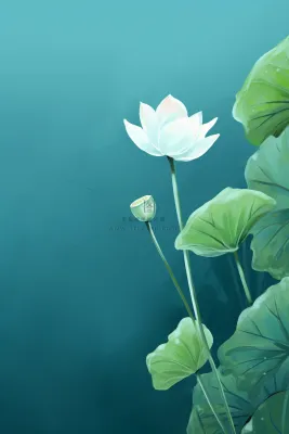 绿色创意清新荷叶节气海报背景 绿色创意清新荷叶节气海报背景