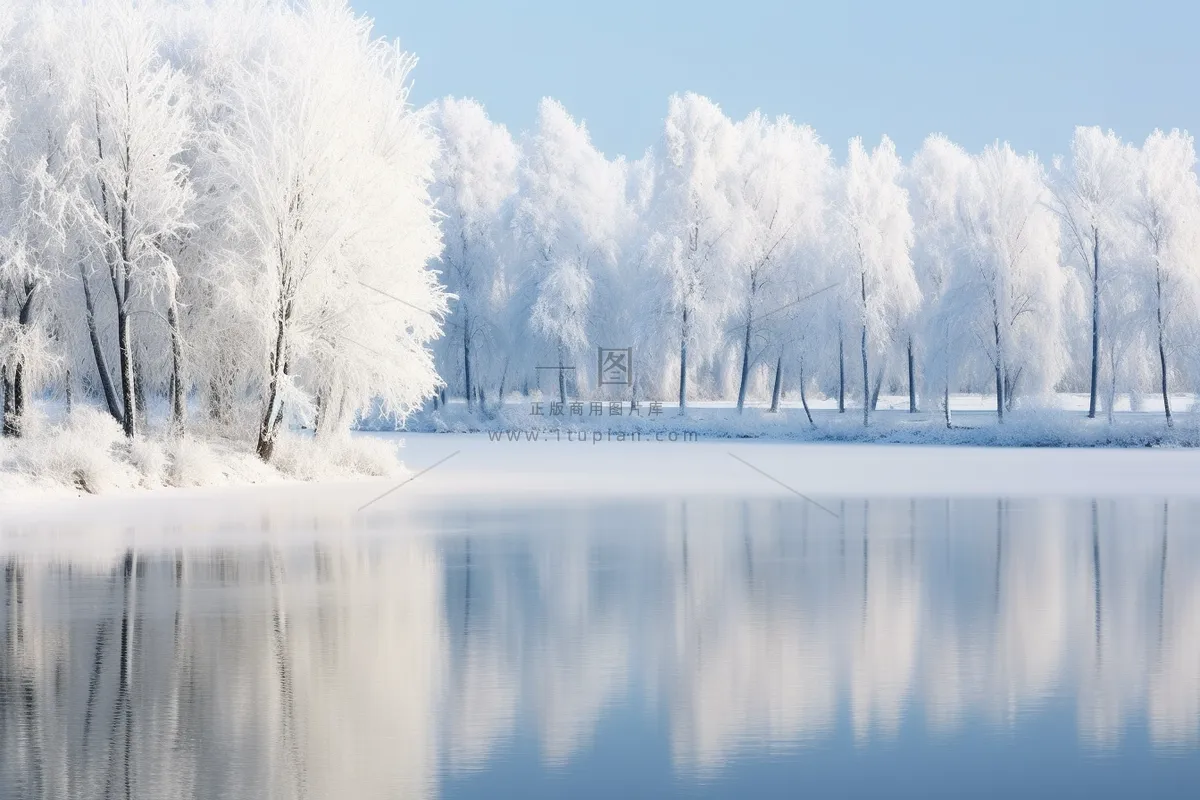 冬天雪景森林雾凇白雪摄影图