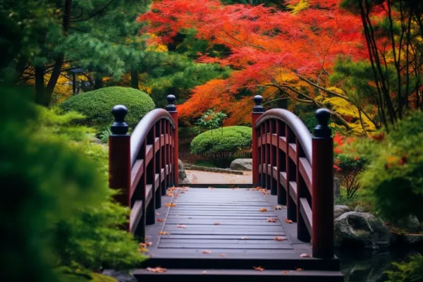 秋天庭院拱桥秋意浓摄影图