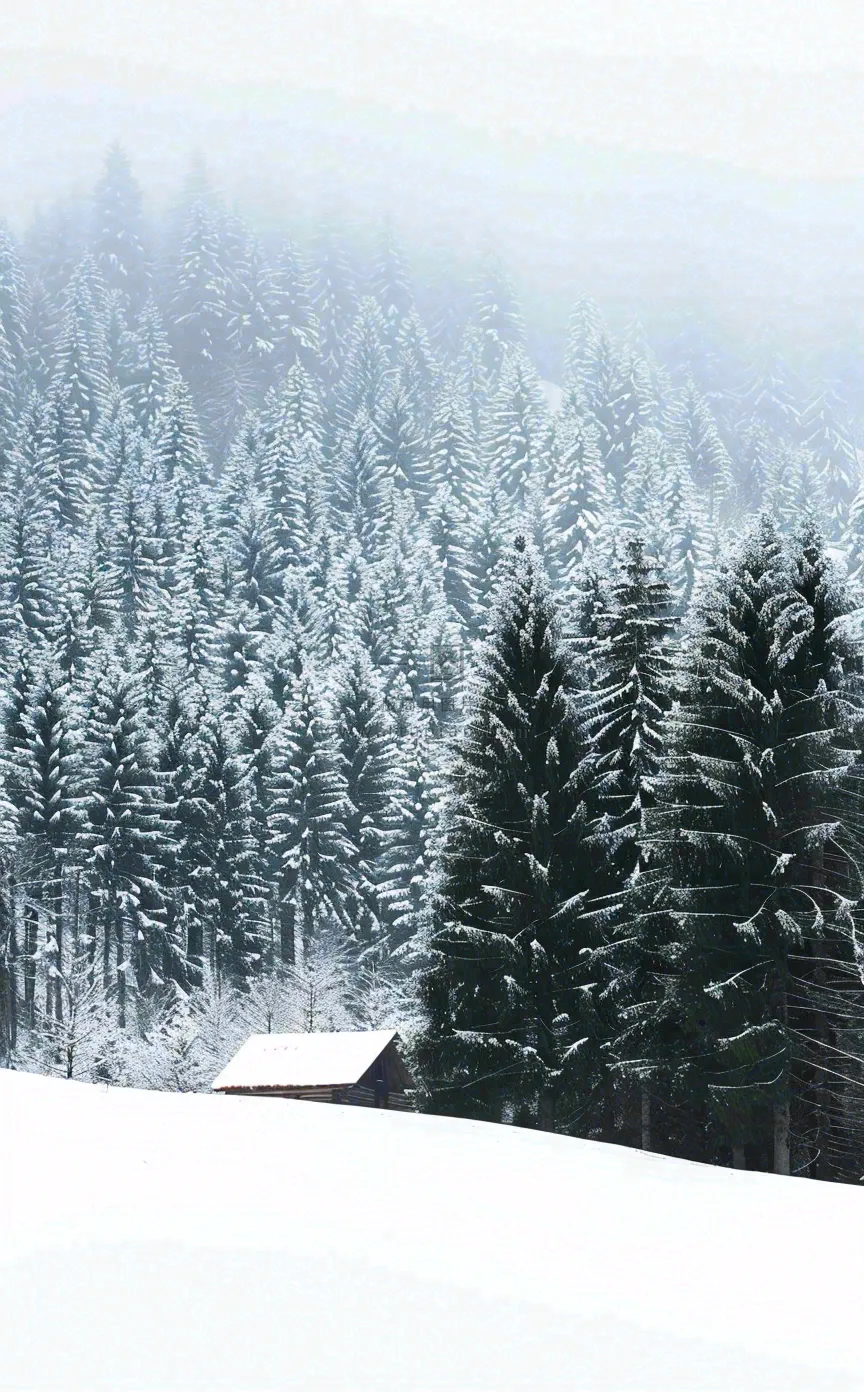 冬天寒冷白雪结冰小寒摄影图