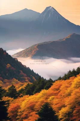 秋天的金黄红色森林山川风光摄影图