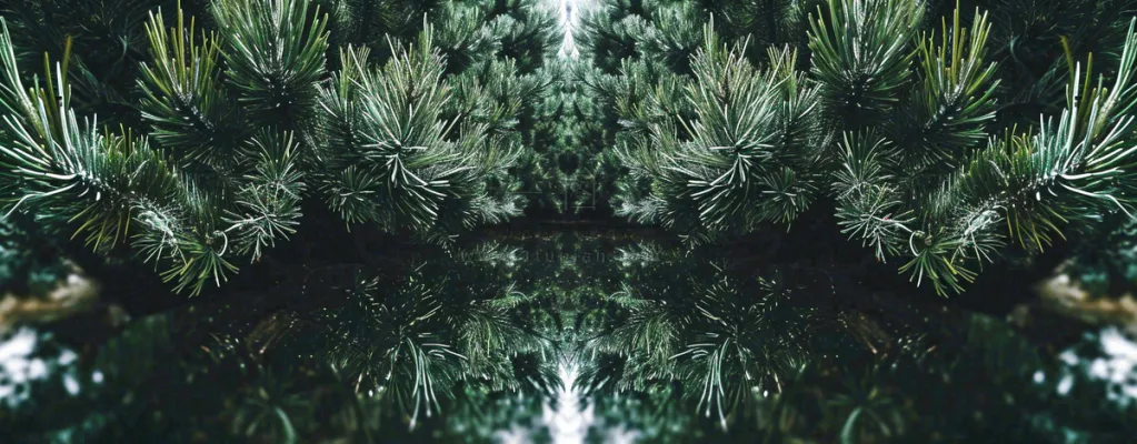 绿色绿植枝叶镜像镜头，新鲜生命力摄影图