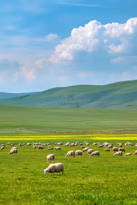 春天草甸草地山坡摄影图