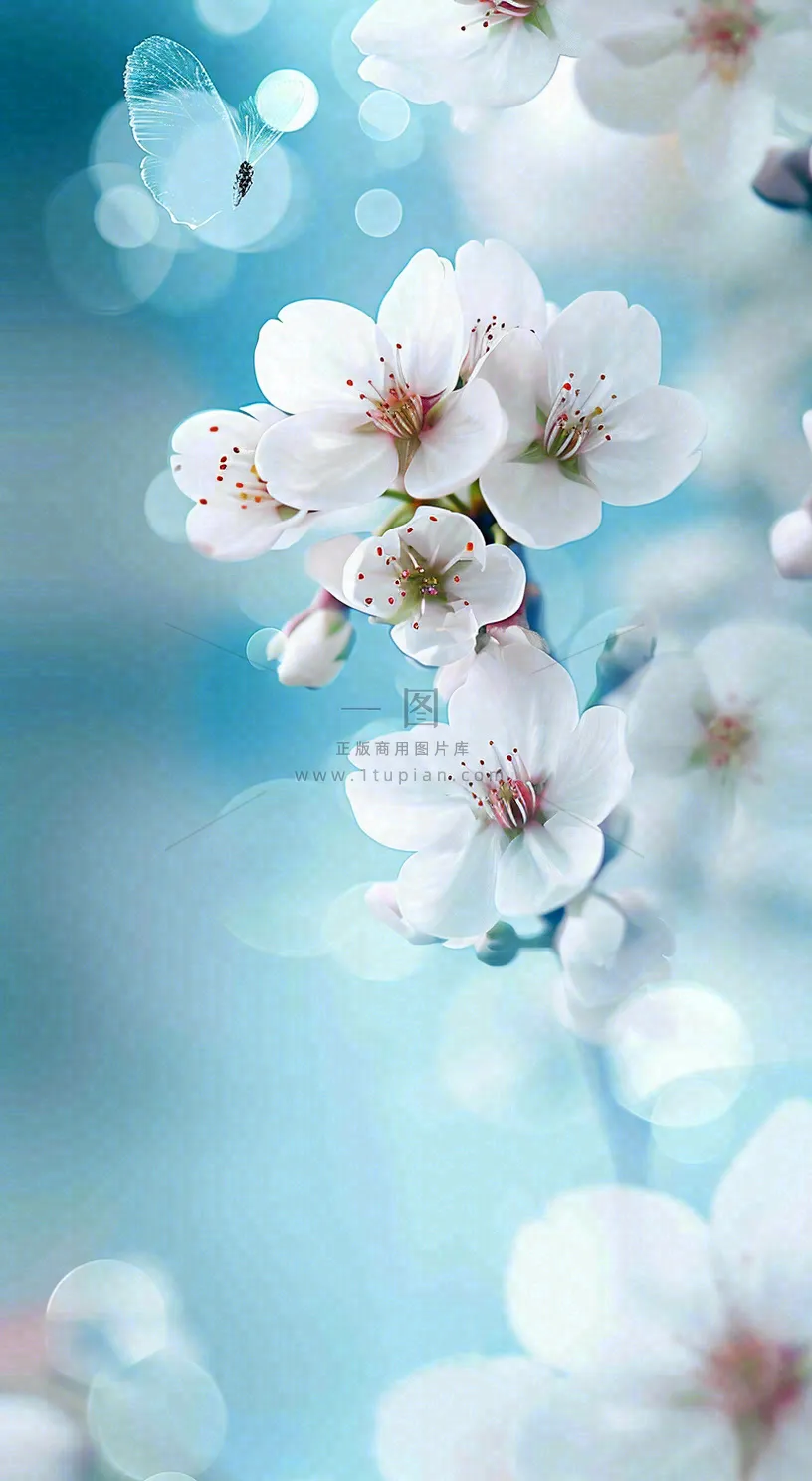 春天清新白色鲜花树枝,文艺新鲜浪漫摄影图