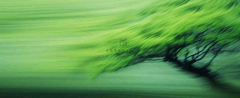 绿色植物树木绚丽虚幻背景